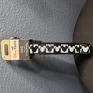 Disney Leash